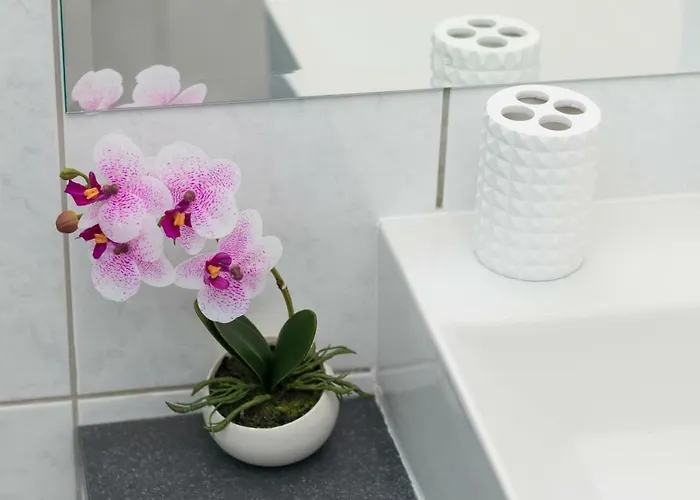 Deluxe Navis Apartman